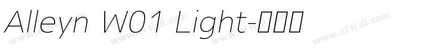Alleyn W01 Light字体转换